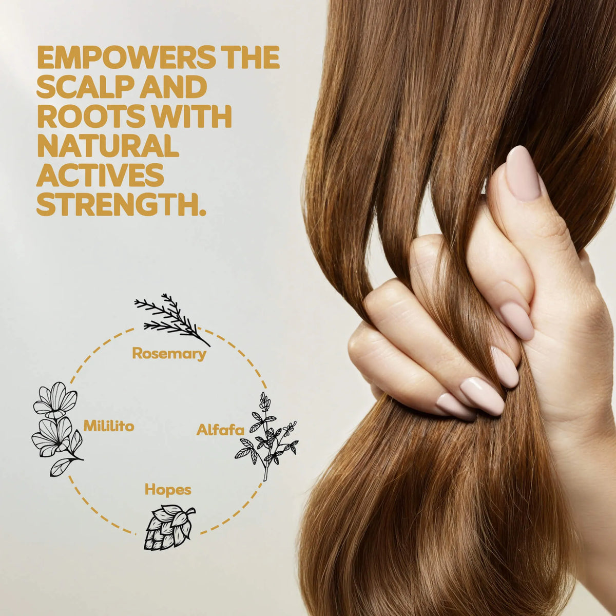 NuMe Rosemary Scalp Serum for Thinning Hair